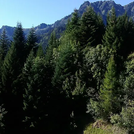 Apartamento A La Jorette-torgon Torgon