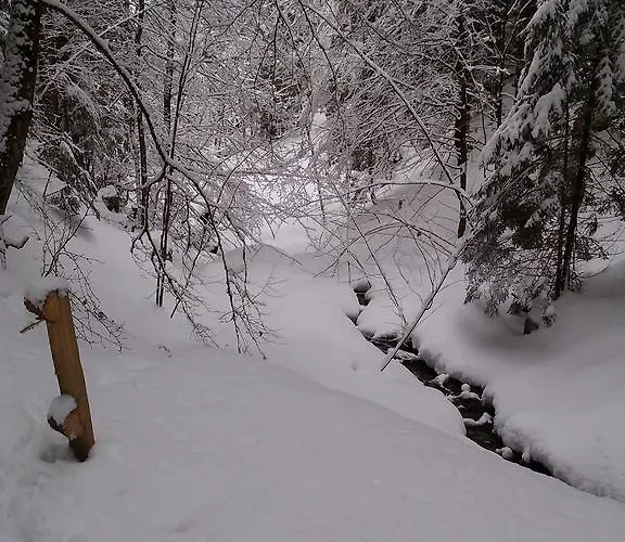à La Jorette-torgon Torgon