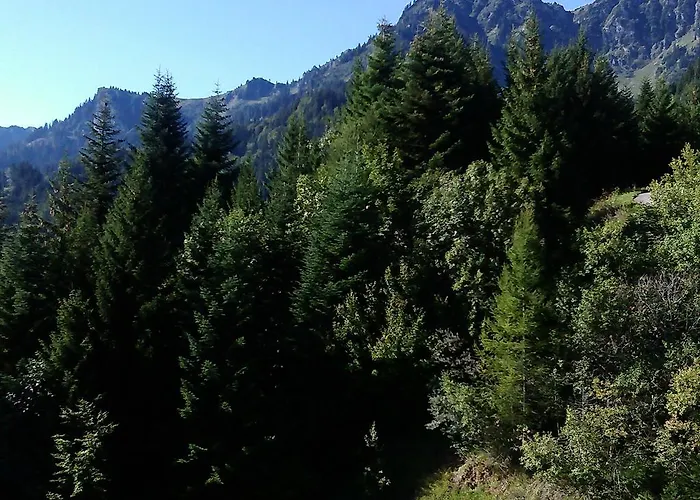 Appartement à La Jorette-torgon Torgon